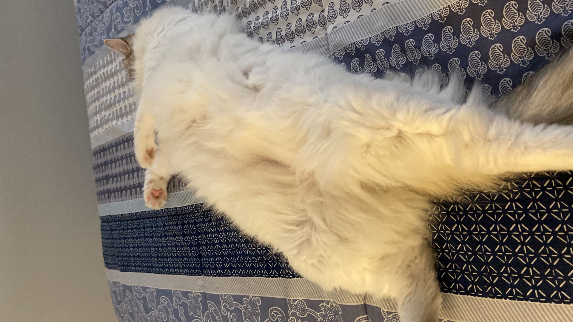 Marie com decoração